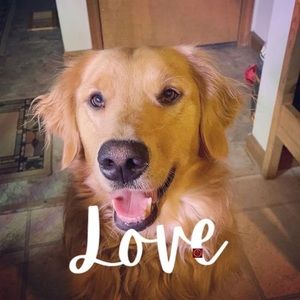 Meet your Posher, Tina